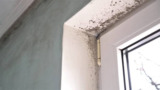 Best Residential Mold Inspection & Testing  in Groesbeck, OH