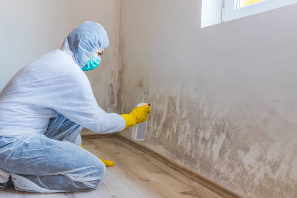 Best Mold Remediation for Healthcare Facilities  in Groesbeck, OH