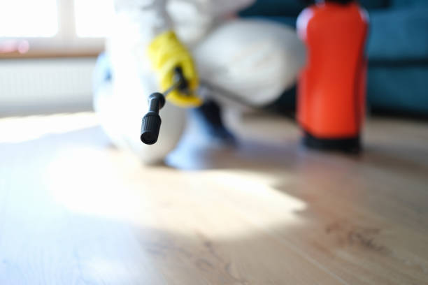 Best Asbestos and Lead Testing During Mold Inspection  in Groesbeck, OH